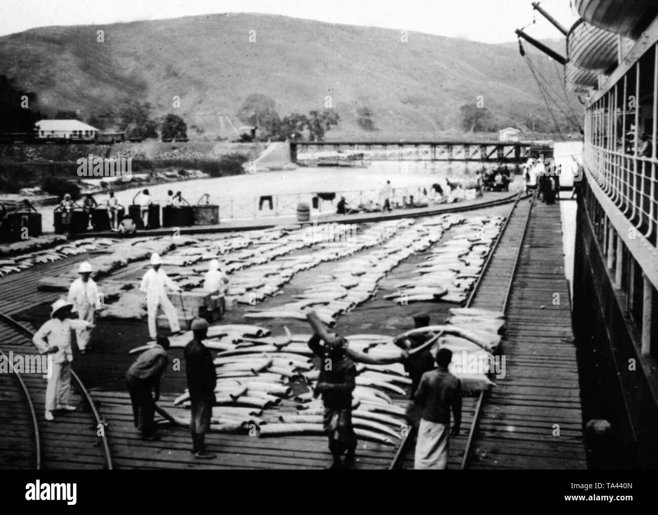 Laden von Côte d'Ivoire im Hafen von Tiko. Im Hintergrund, Mount Cameroon. Stockfoto