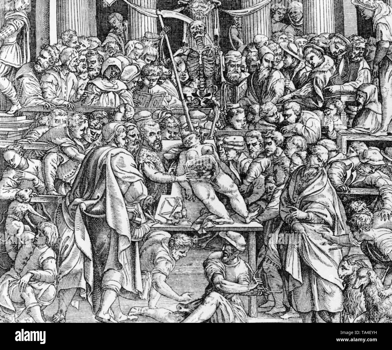 Titelseite des Buches "De Humani Corporis Fabrica (Auf das Gewebe des menschlichen Körpers in sieben Bücher) von Andreas Vesalius. Der Anatom Vesalius ein Körper vor seinen Studenten seziert. Unter den Studenten sind Michael Servet, Paracelus, Martin Luther, Tizian, Alde Manuce, Johannes Oporinus. Stockfoto