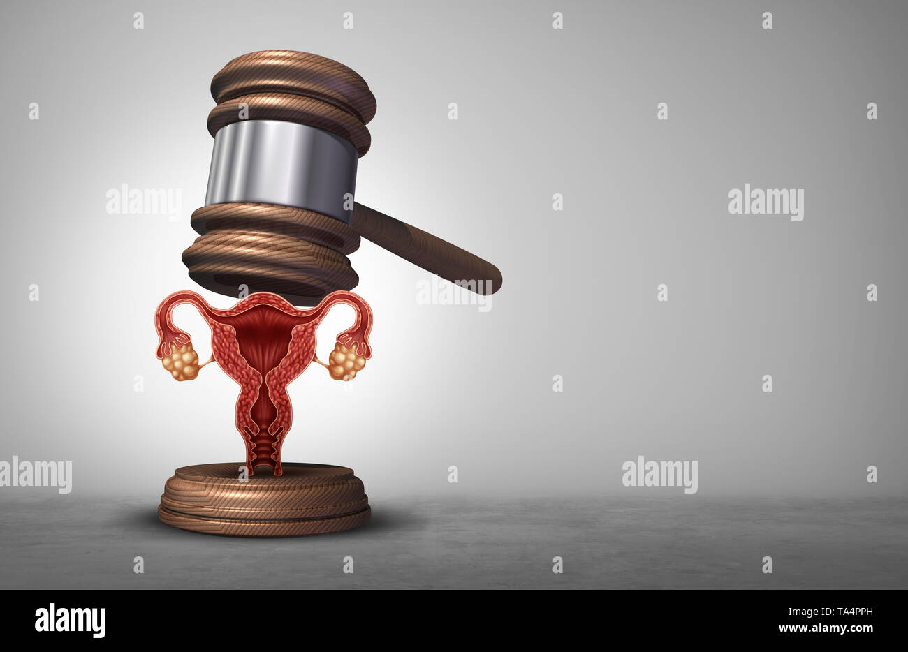 Die reproduktiven Rechte und Abtreibung Gesetz oder Frauen Gesundheit Justiz als juristischen Begriff für die Reproduktion Politik als Rechtsvorschriften durch die Regierung. Stockfoto