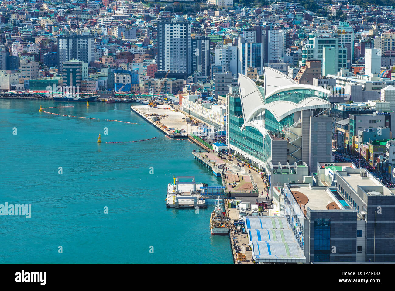 Busan Hafen, der größte Hafen in Südkorea Stockfoto