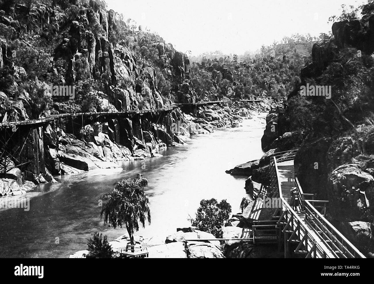 Cataract Gorge, Launceston, Tasmanien Stockfoto