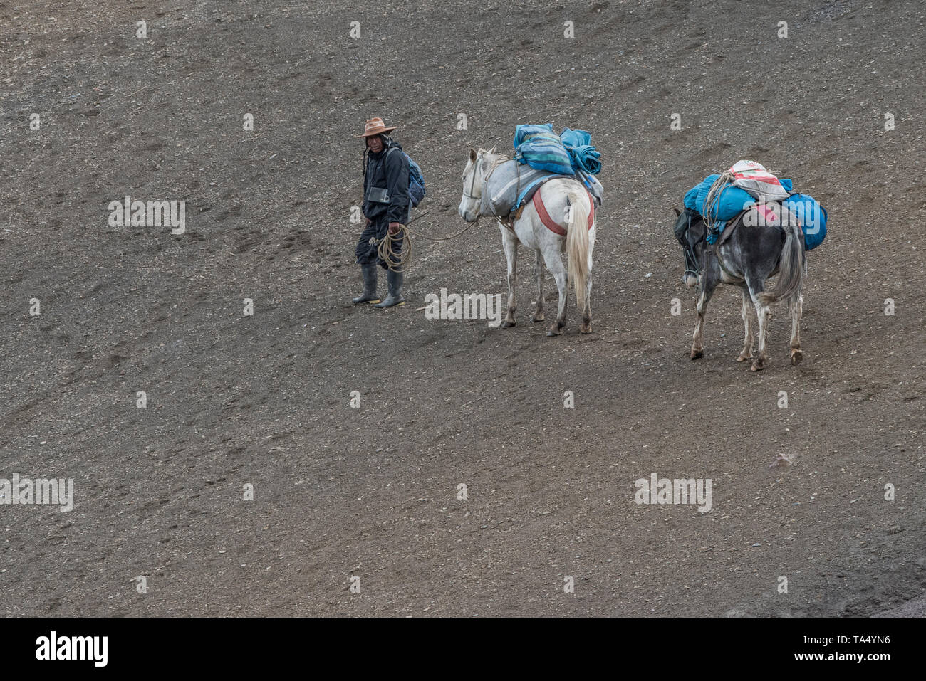 Eine quechua Mann arbeitet als arriero einem voll beladenen Packesel führt eine steile Steigung in den Anden im Süden Perus. Stockfoto