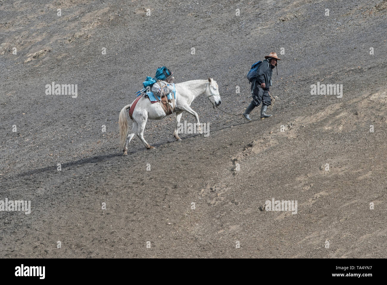 Eine quechua Mann arbeitet als arriero einem voll beladenen Packesel führt eine steile Steigung in den Anden im Süden Perus. Stockfoto