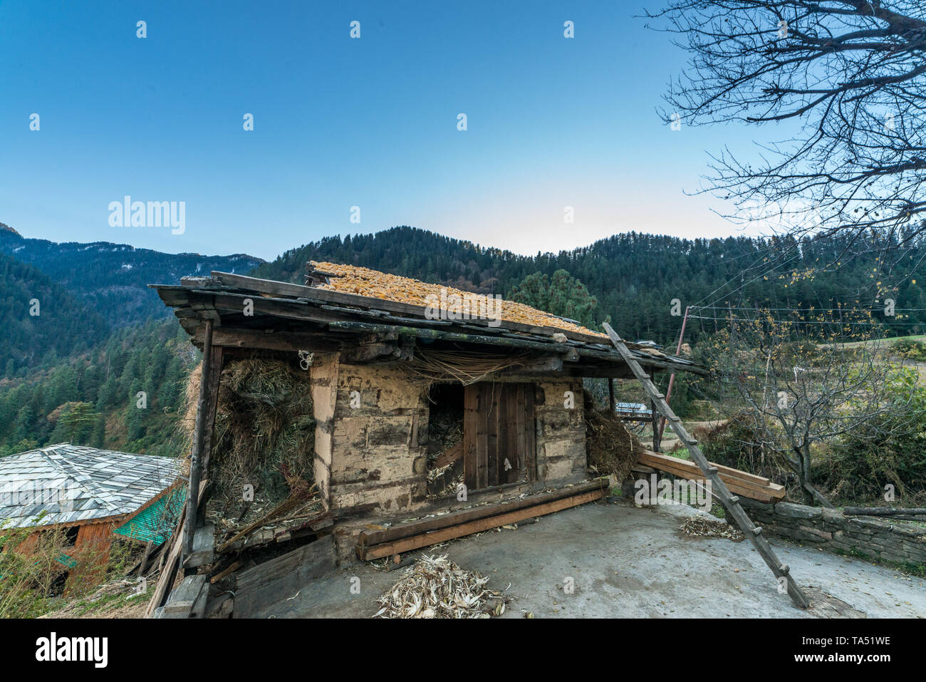 Typischen hölzernen Alpine House in himachal im Himalaya - Indien Stockfoto