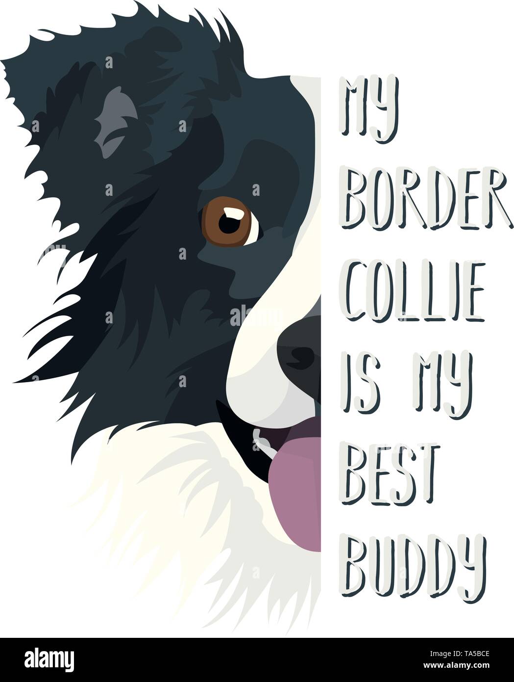 Border collie welpen ist der beste kaufen Alamy