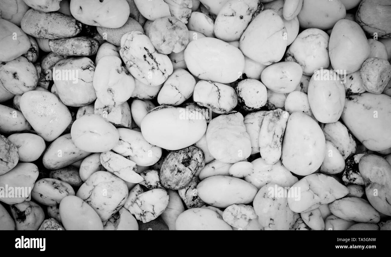 Steine Kiesel Hintergrund Textur Weisser Stein Kiesel Auf Dem