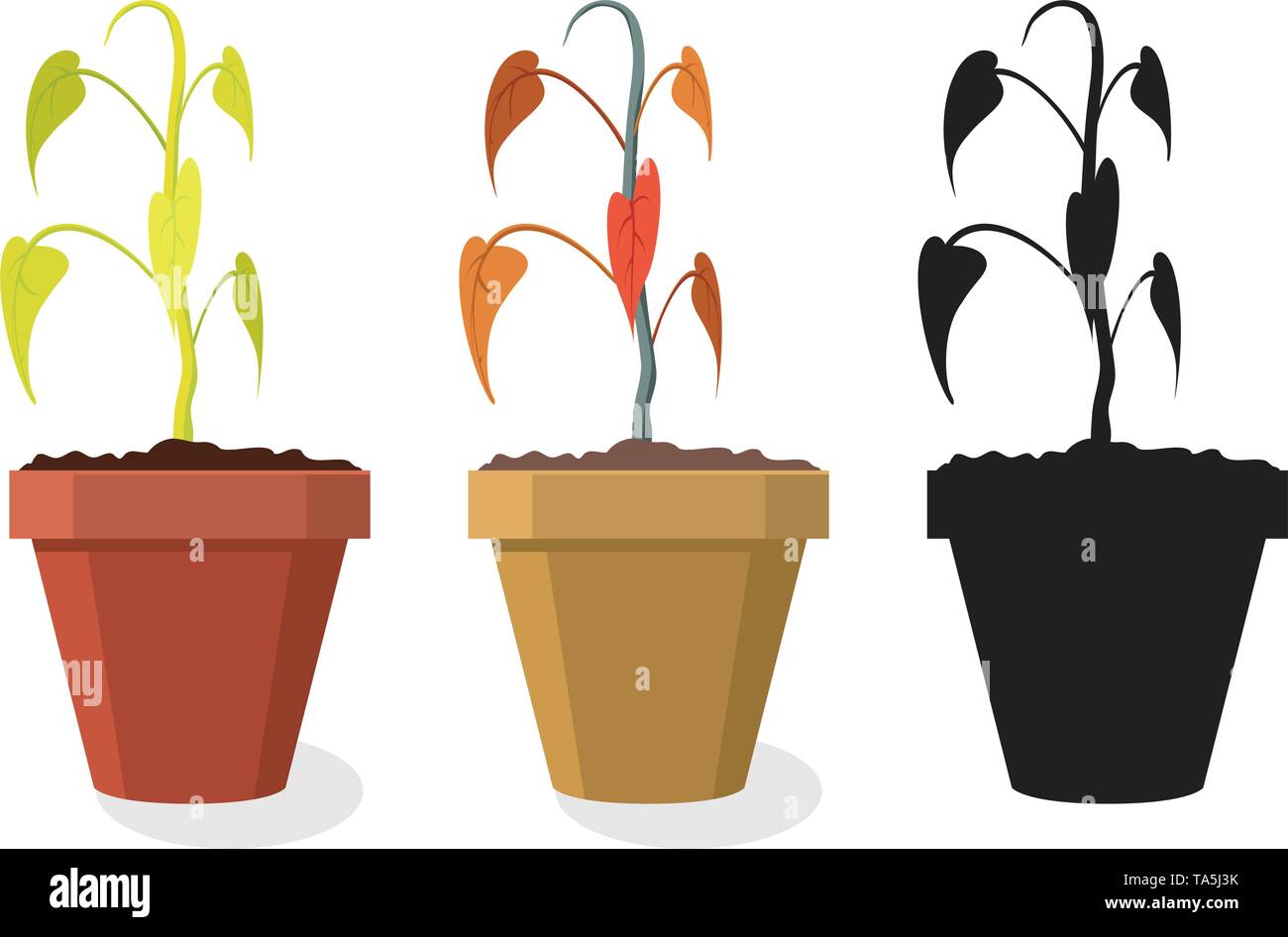 Vektor einrichten des Sterbens home Pflanzen auf weißem Hintergrund. trockenen Boden macht Topfpflanze zu welken und toten geworden. Symbole der sterbenden Blume Stock Vektor