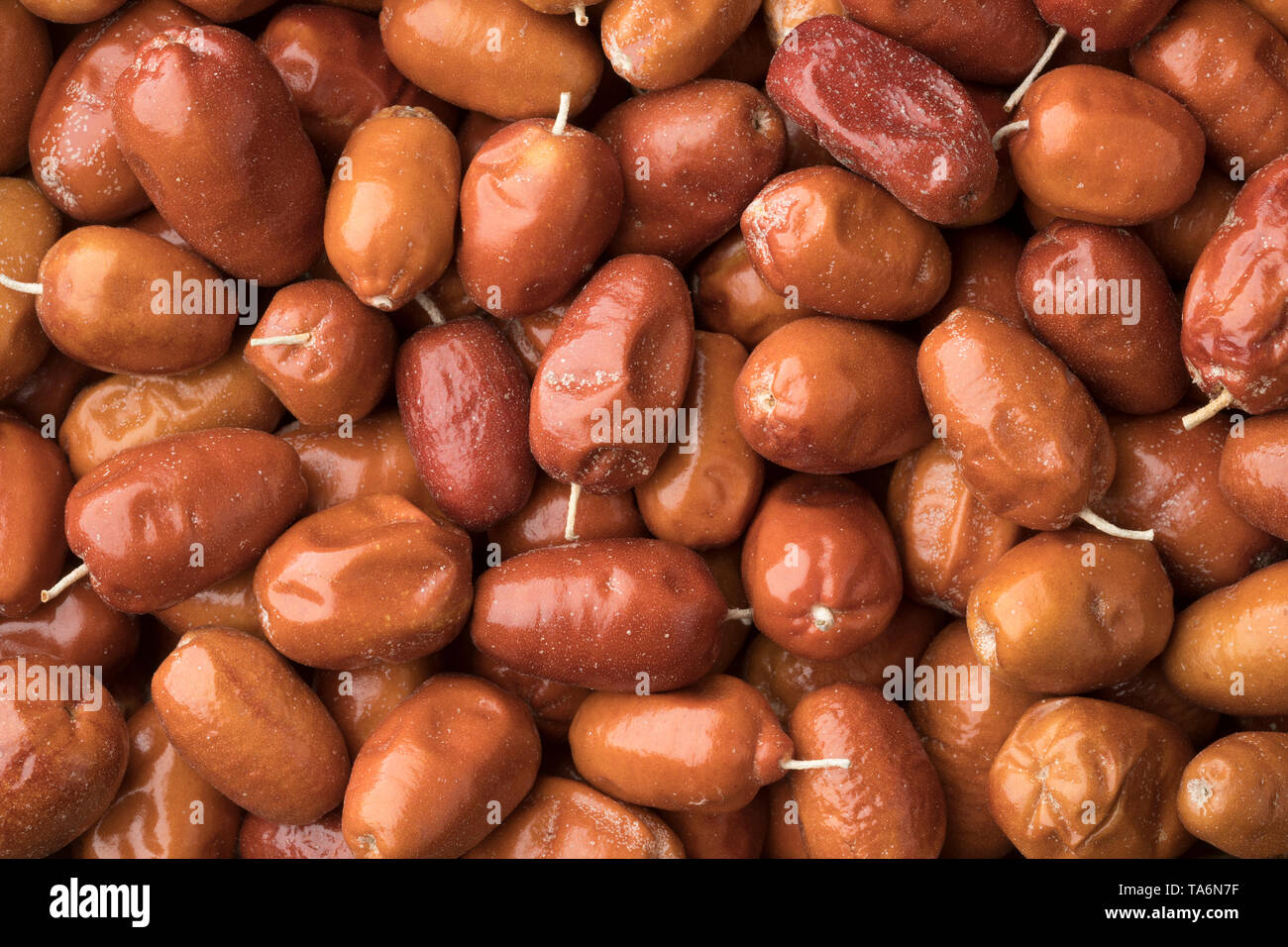 Bio Frucht des Oleaster, Silber Berry oder russische Olive close up full frame Stockfoto