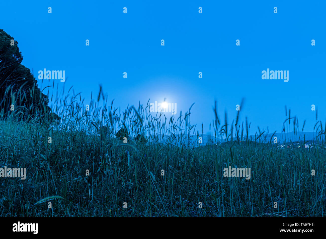 Diese Erfassung der Landschaft war unter dem Mond Licht aufgenommen und Sie können den kalten Ton Farbe von Blau, die schöne Stimmung auf dem Bild zu sehen Stockfoto