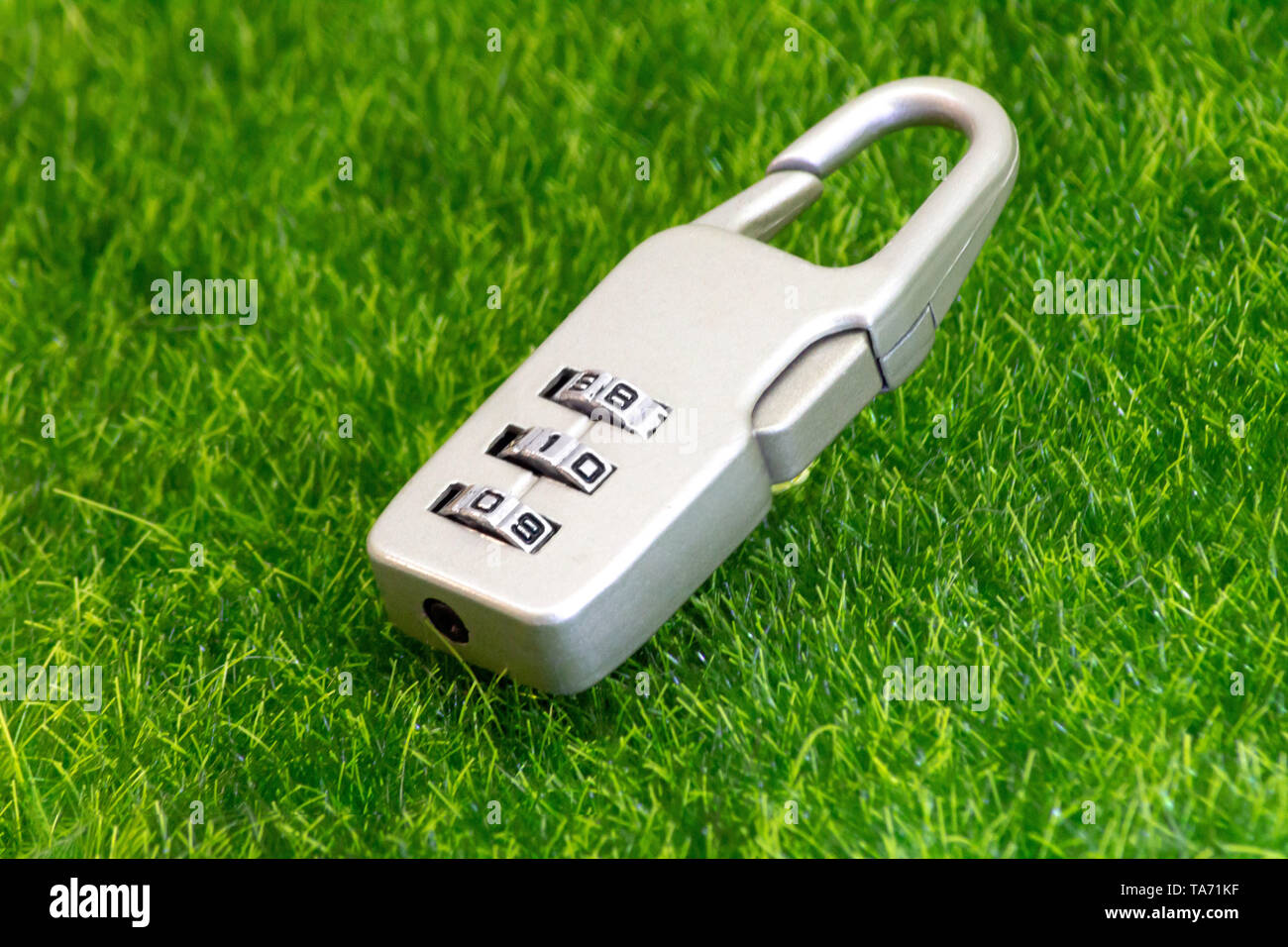 Gepäck schloss für Gepäck Reisende auf grünem Gras. Stockfoto
