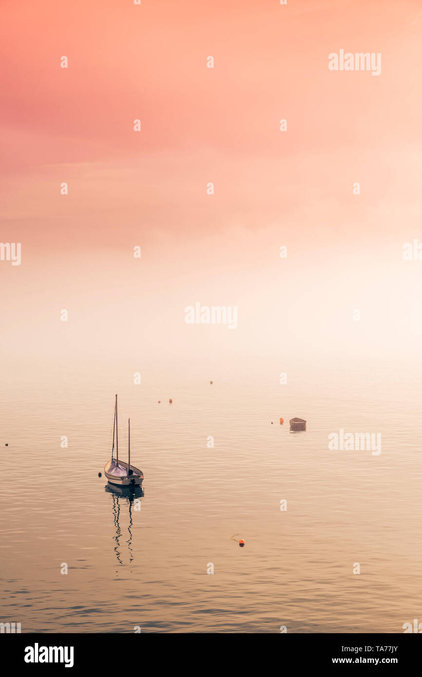 Nach einem kühlen Abend in North Devon, Dawn bringt driften Nebel über dem Fluss Torridge Mündung in Appledore, Malen mit Pastellfarben. Stockfoto