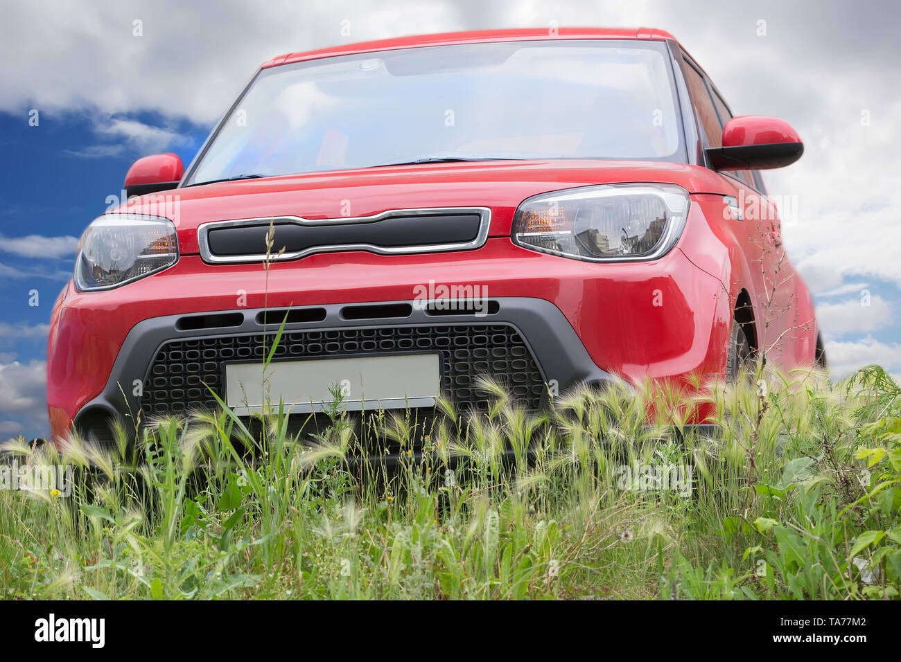 Rotes Auto im Feld mit Grass gegen Sky Stockfoto