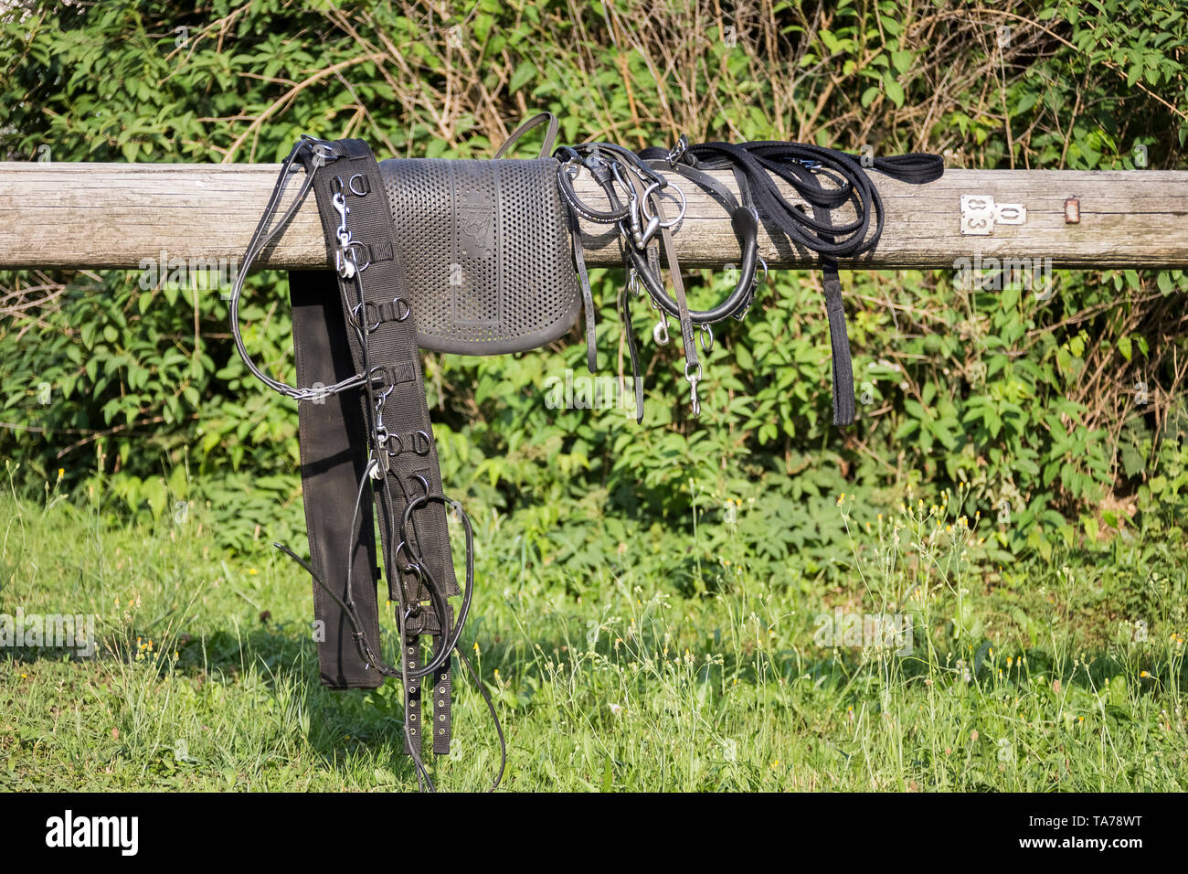 Passendem bithänger Ausrüstung auf einem Zaun. Österreich Stockfoto