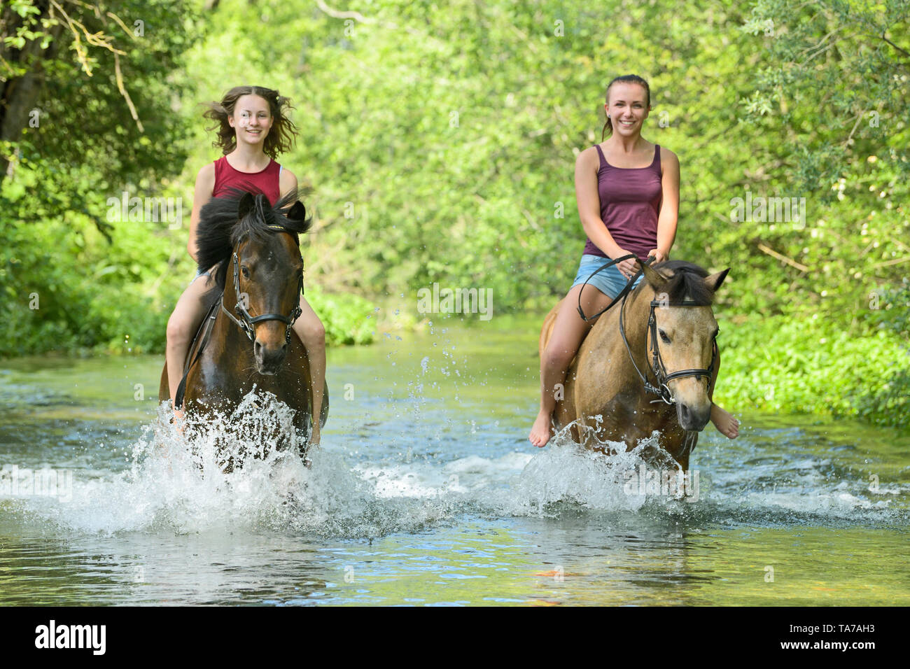 Deutsches Reitpony. Mädchen auf dem Rücken der Ponys Reiten ohne Sattel in einem Bach. Deutschland Stockfoto