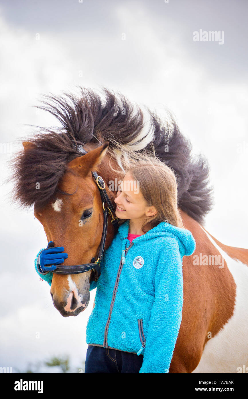 Islandpferd. Mädchen schmusen mit Pinto horse. Österreich Stockfoto