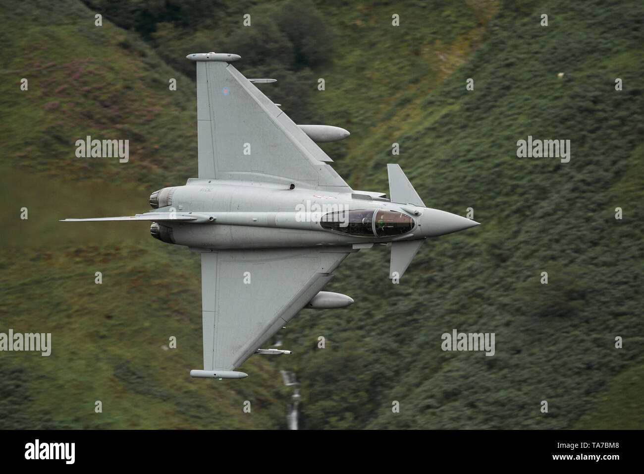 RAF Eurofighter Typhoon flying low level durch das Mach Loop in Wales, Großbritannien Stockfoto