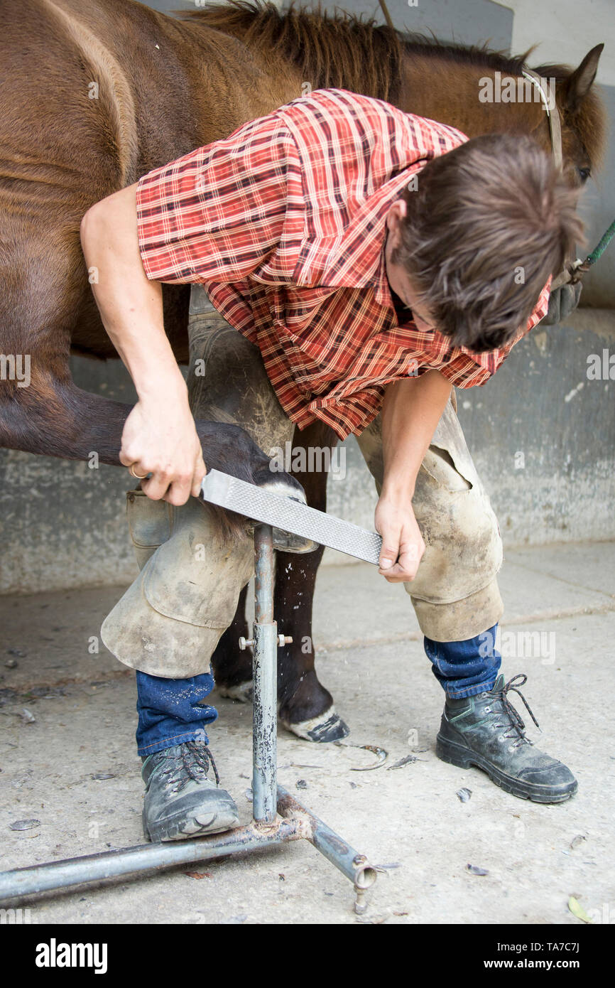 Hufschmied raspeln ein Huf. Österreich Stockfoto