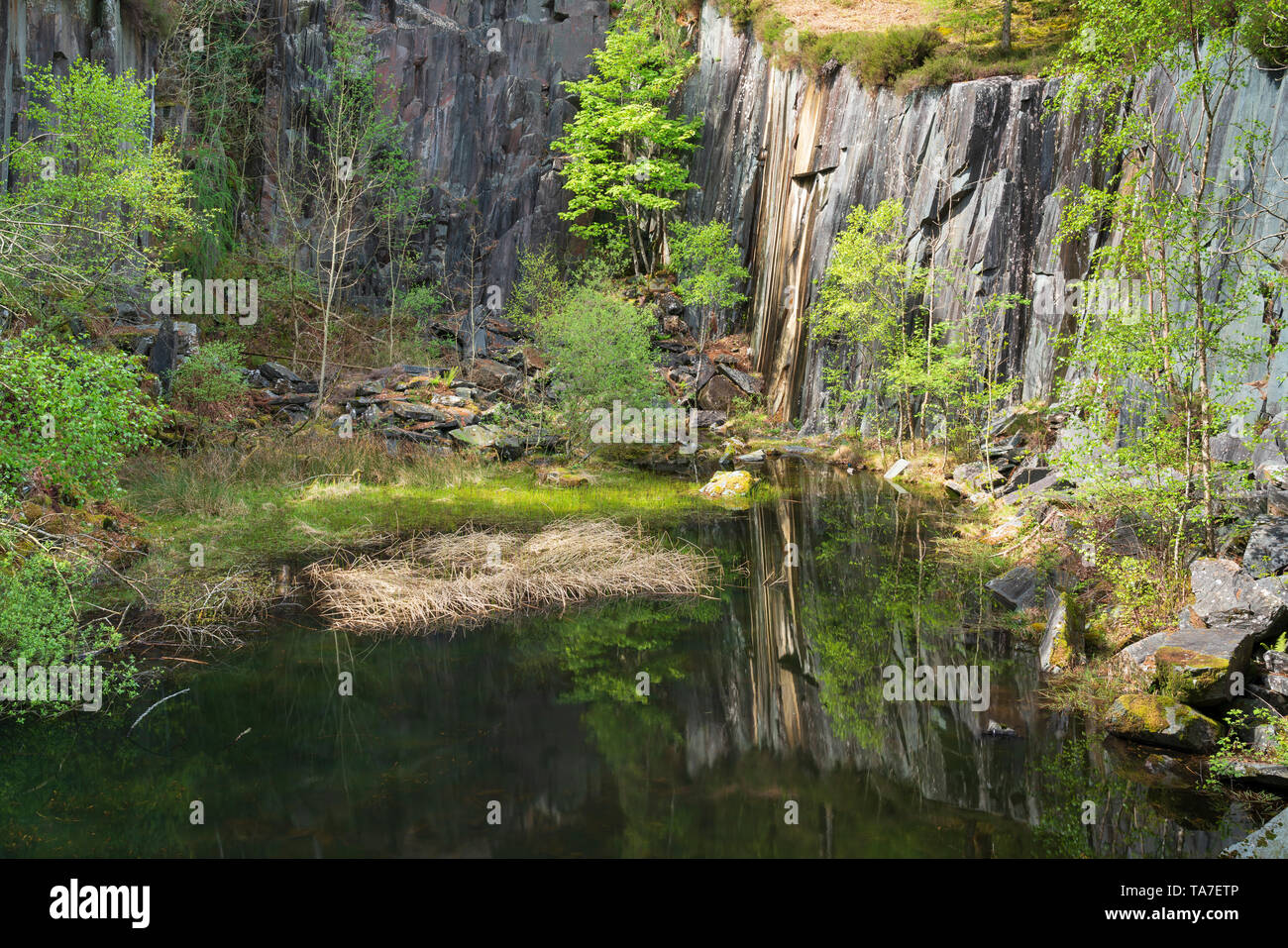 Dalt Steinbruch, Schloss Crag, Grange, Borrowdale, den englischen Lake District, Großbritannien Stockfoto