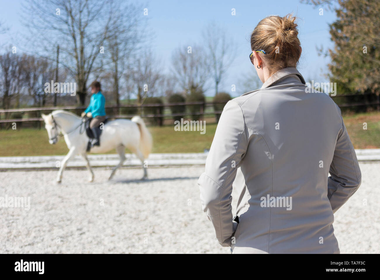 Lipizzaner. Mare mit Reiter in einem Trab auf einen Reitplatz mit Trainer ansehen. Deutschland Stockfoto