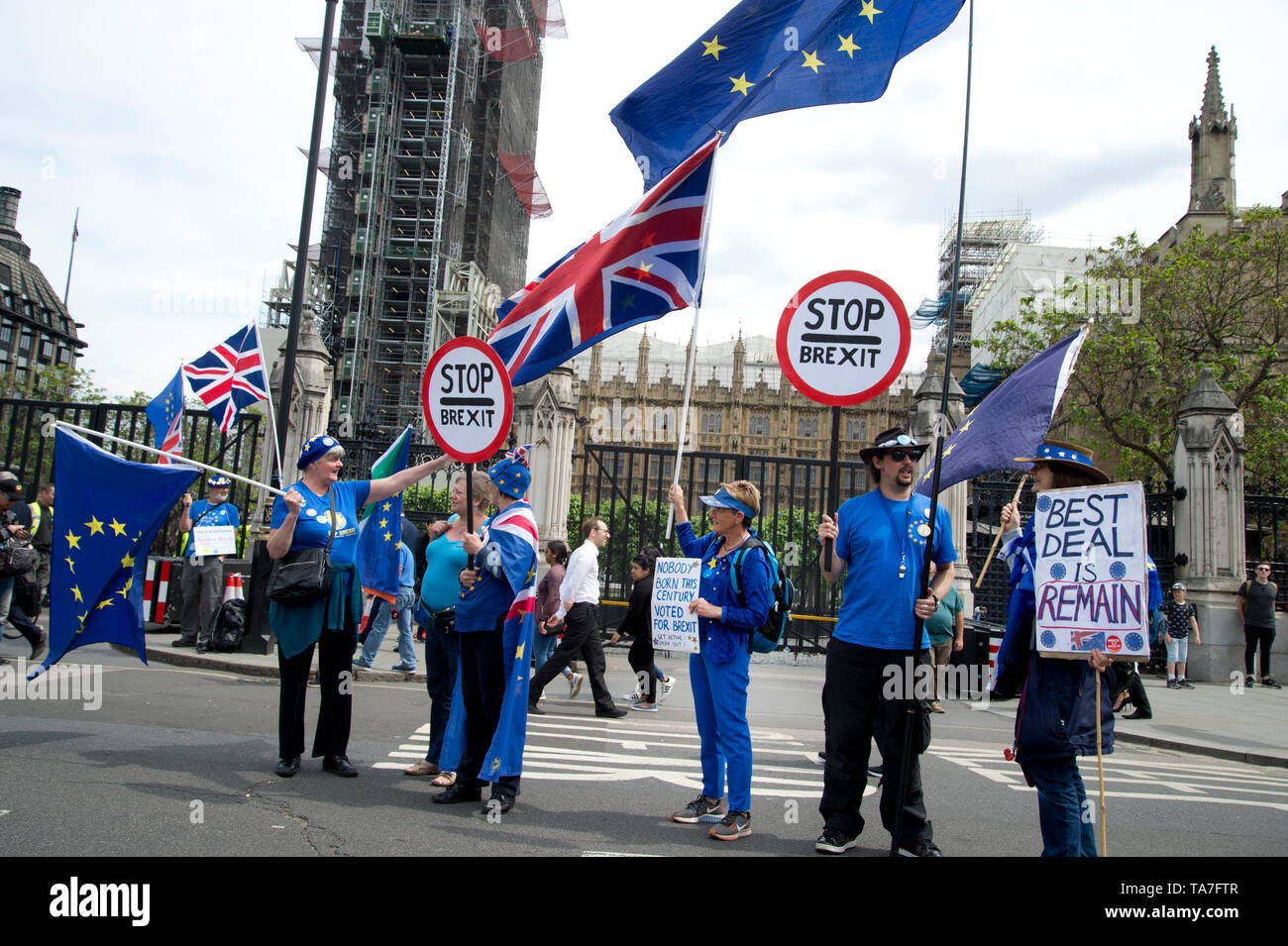 Westminster. Gegenüber Häusern des Parlaments am 22. Mai 2019. Protest von Remainers Brexit zu stoppen. Eine Gruppe vor dem Unterhaus. Stockfoto