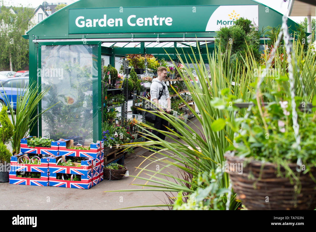 Morrisons pop-up Garten Center Event ausserhalb ihrer Store Stockfoto