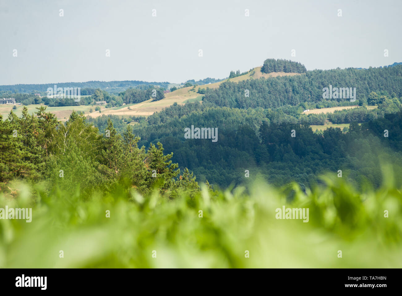 Blick auf die Berge, Cisowa Landschaftspark Suwałki Stockfoto