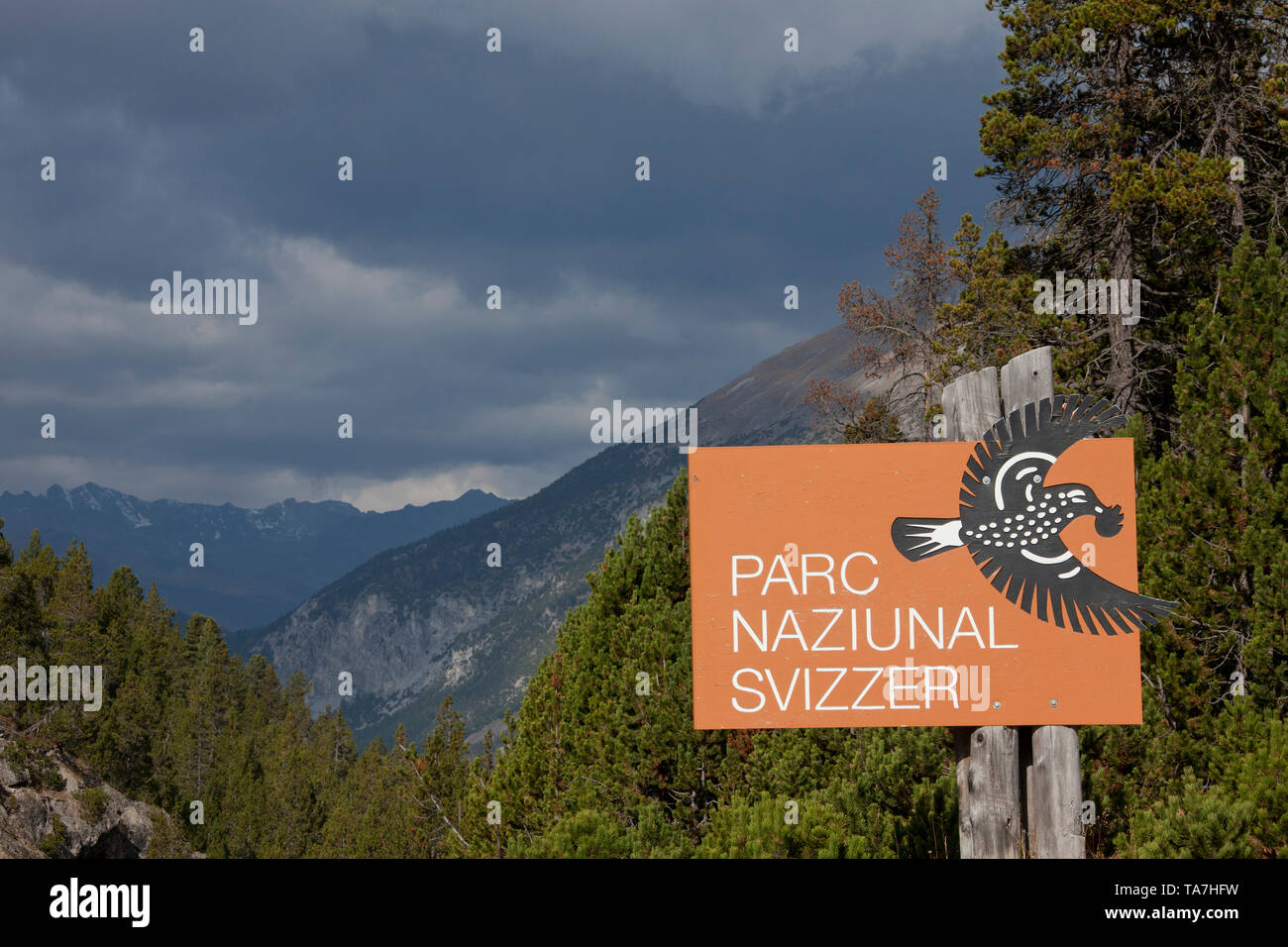 Eingang Platte (in raeto-romance). Schweizer Nationalpark, Graubünden, Schweiz Stockfoto