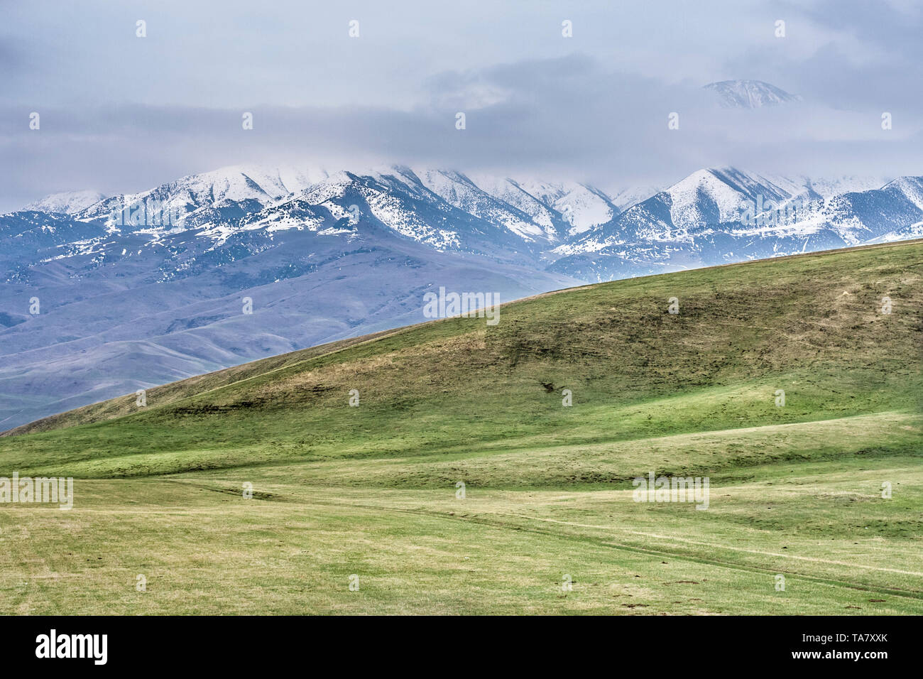 Verschneite Berge und grüne Steppen, Kirgisistan, Zentralasien Stockfoto