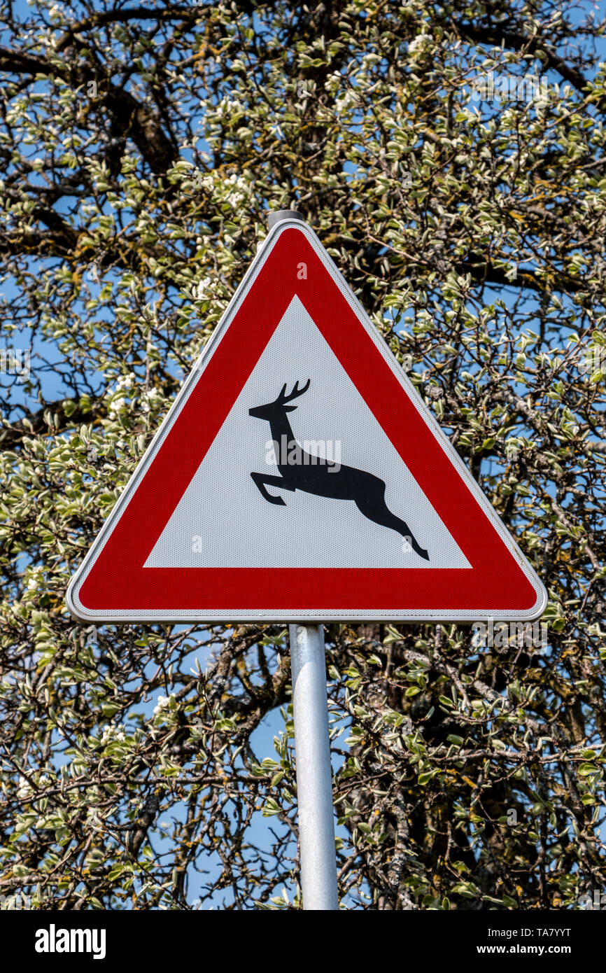 Verkehrszeichen für Spiel Trail, wo wilde Tiere über die Straße Stockfoto