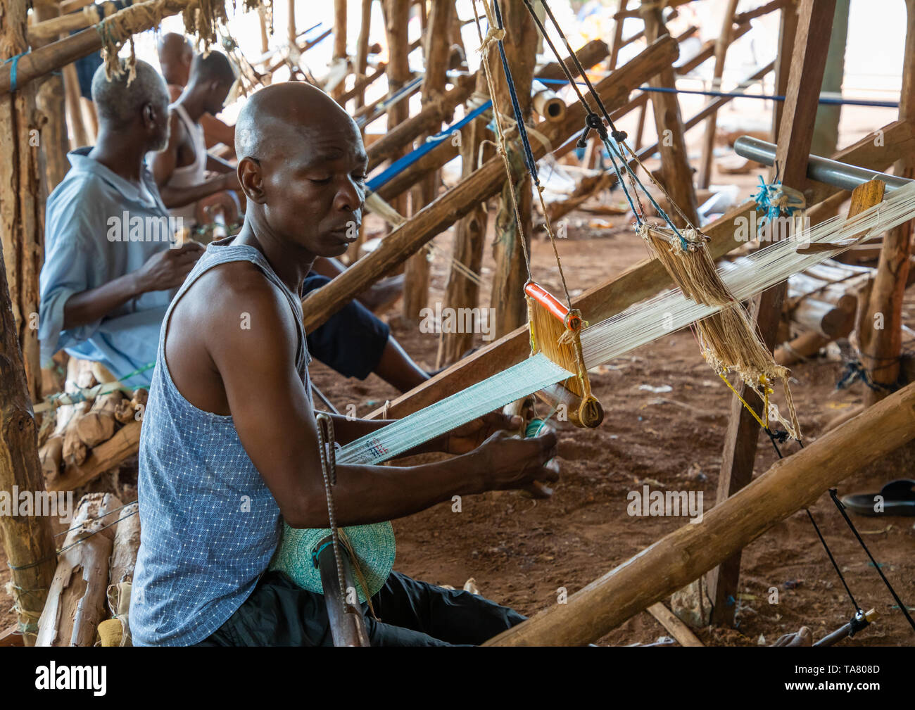 Die afrikanischen Männer weben in einem traditionellen Textilfabrik, Savanes Bezirk, Waraniene, Elfenbeinküste Stockfoto