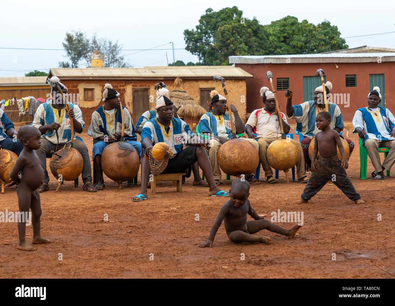 Afrikanische Musiker koras Wiedergabe während Boloye Tanz der Panther Mann, Savanes Bezirk, Waraniene, Elfenbeinküste Stockfoto