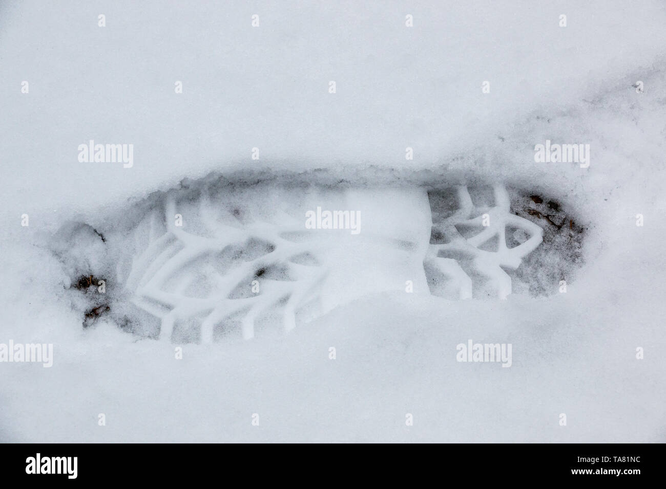 Foot Print eines menschlichen Schuh auf dem weißen Schnee Stockfoto