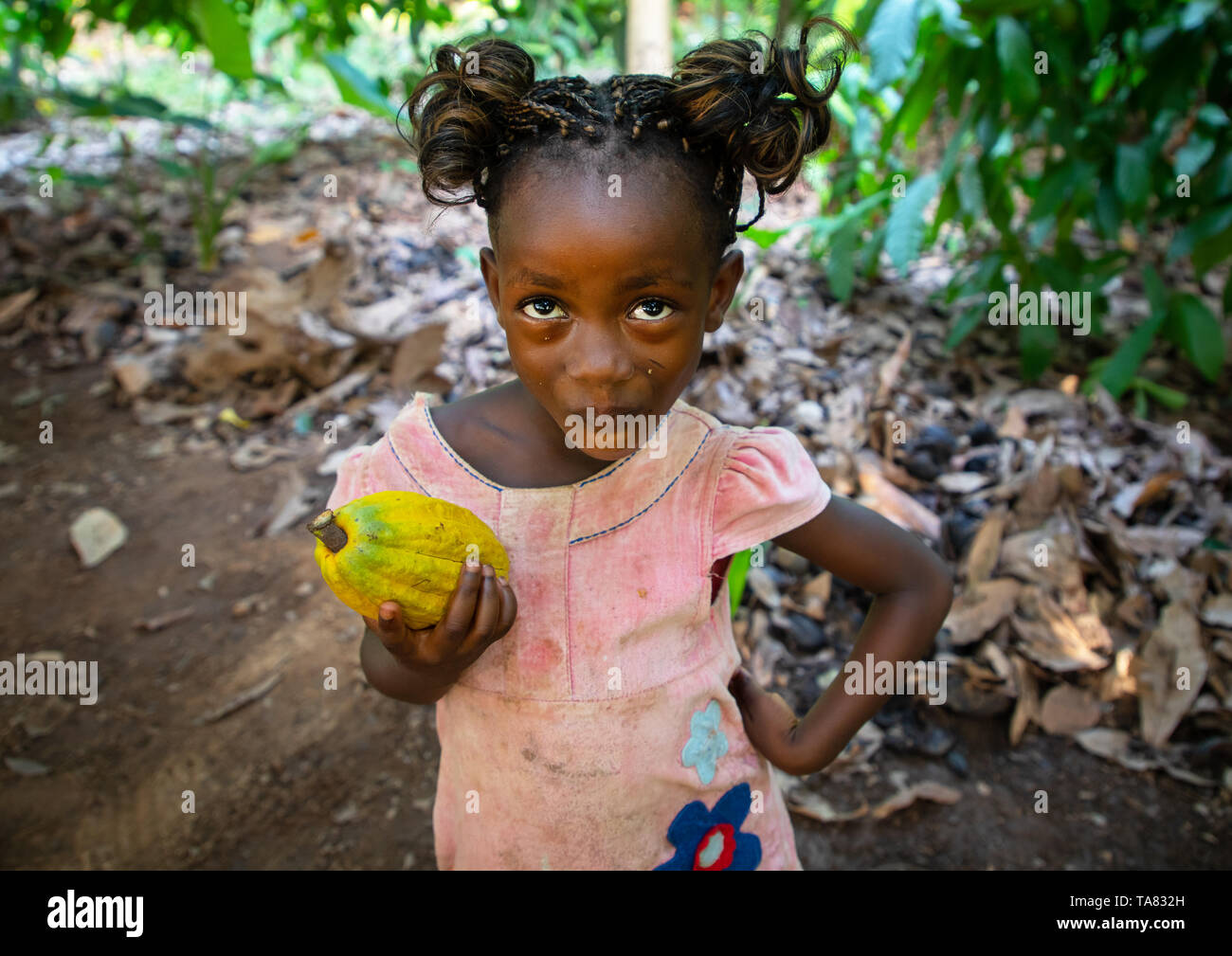 Cute afrikanische Mädchen mit einem Kakao Obst pod in ihren Händen, Région de l'Esperance, Yamoussoukro, Elfenbeinküste Stockfoto