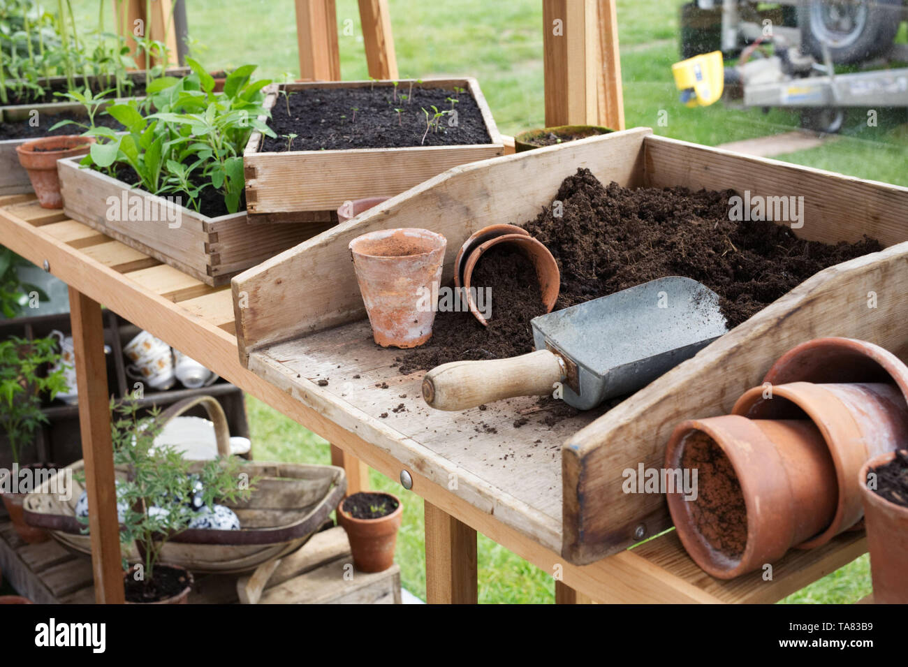 Die Pflanztisch in einem Gewächshaus an der RHS Malvern Frühjahr zeigen. Stockfoto