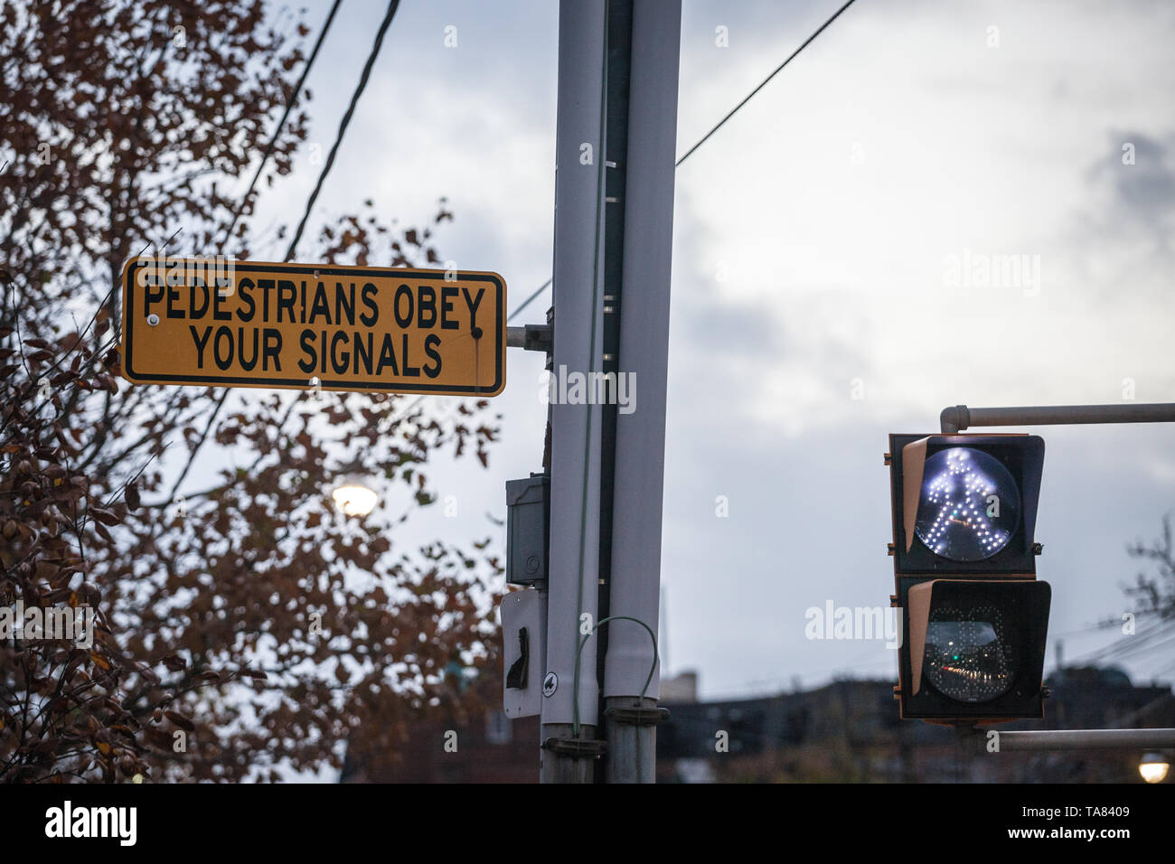 Fußgängerampel, Fußgänger können neben einem Zeichen, Leute zu fragen, den Code und die Ampel zu gehen, in der Innenstadt von Toronto, Stockfoto