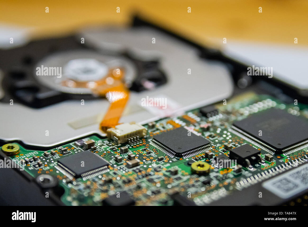Computer Festplatte Elektronik Schaltung, Makro Foto. Festplatte reparieren Daten Konzept Konzept zu speichern. Blur Hintergrund mit selektiven Fokus. Stockfoto