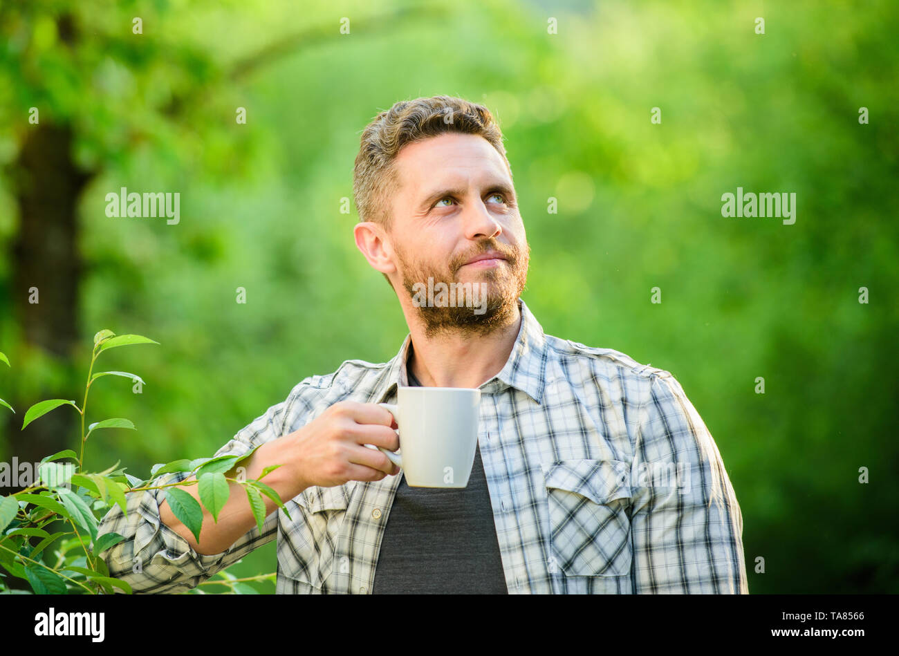 Natürliche trinken. Gesunde Lebensweise. Ich bevorzuge grünen Tee. Erfrischendes Getränk. Man bärtige Kaffee Bauer halten Becher Natur Hintergrund. Grüner Tee enthält bioaktive Substanzen, die die Gesundheit verbessern. Vollständige blatt Tee. Stockfoto