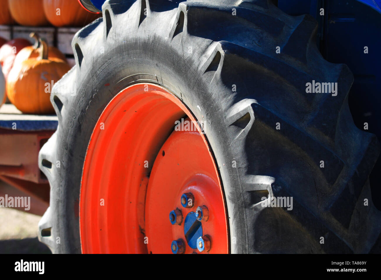 Nahaufnahme von Isolierte schwarze Rad Reifen mit tiefen genügend Lauffläche des antiken alten Traktor mit rotem Rand und blau Muttern auf einem Bauernhof in Niederlande Stockfoto