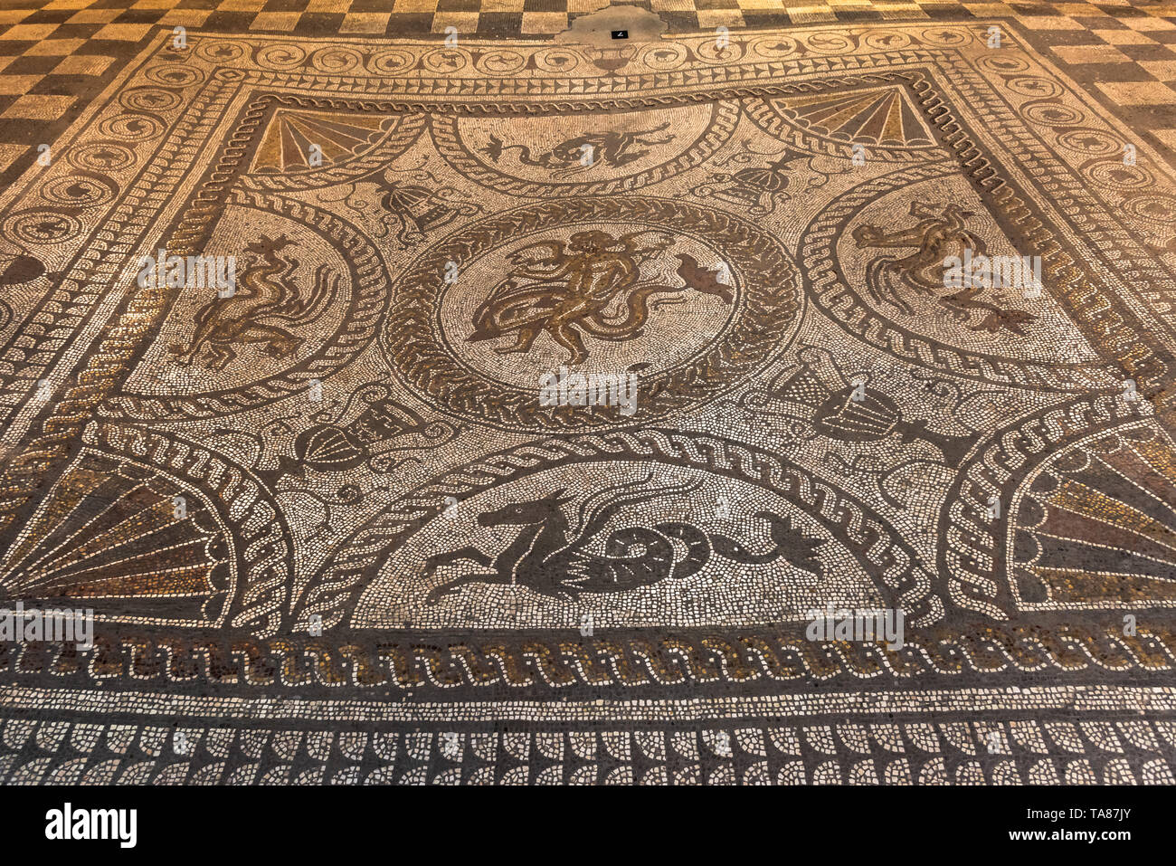 Fishbourne Roman Palace, Großbritannien Stockfoto