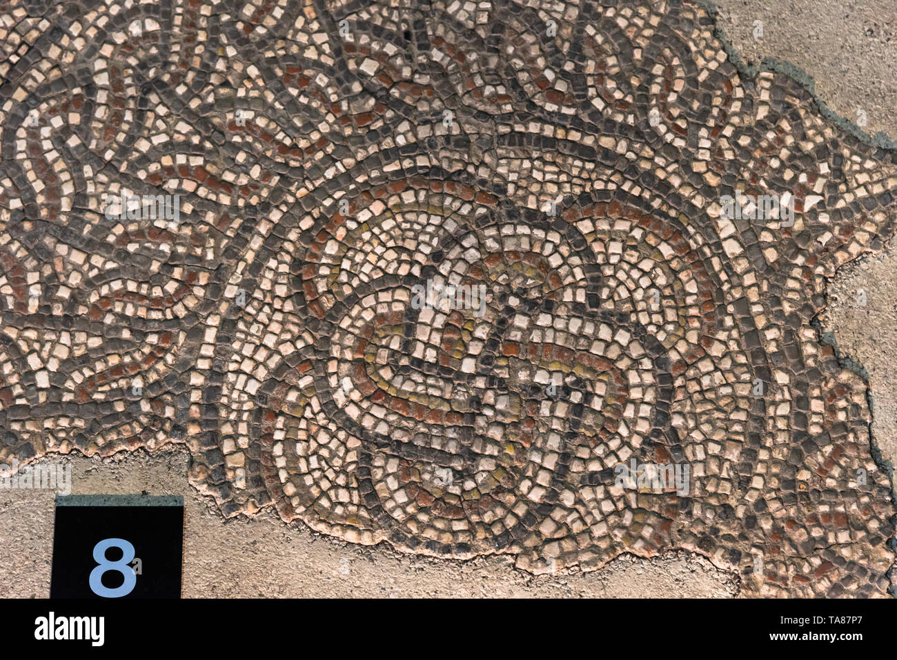 Fishbourne Roman Palace, Großbritannien Stockfoto