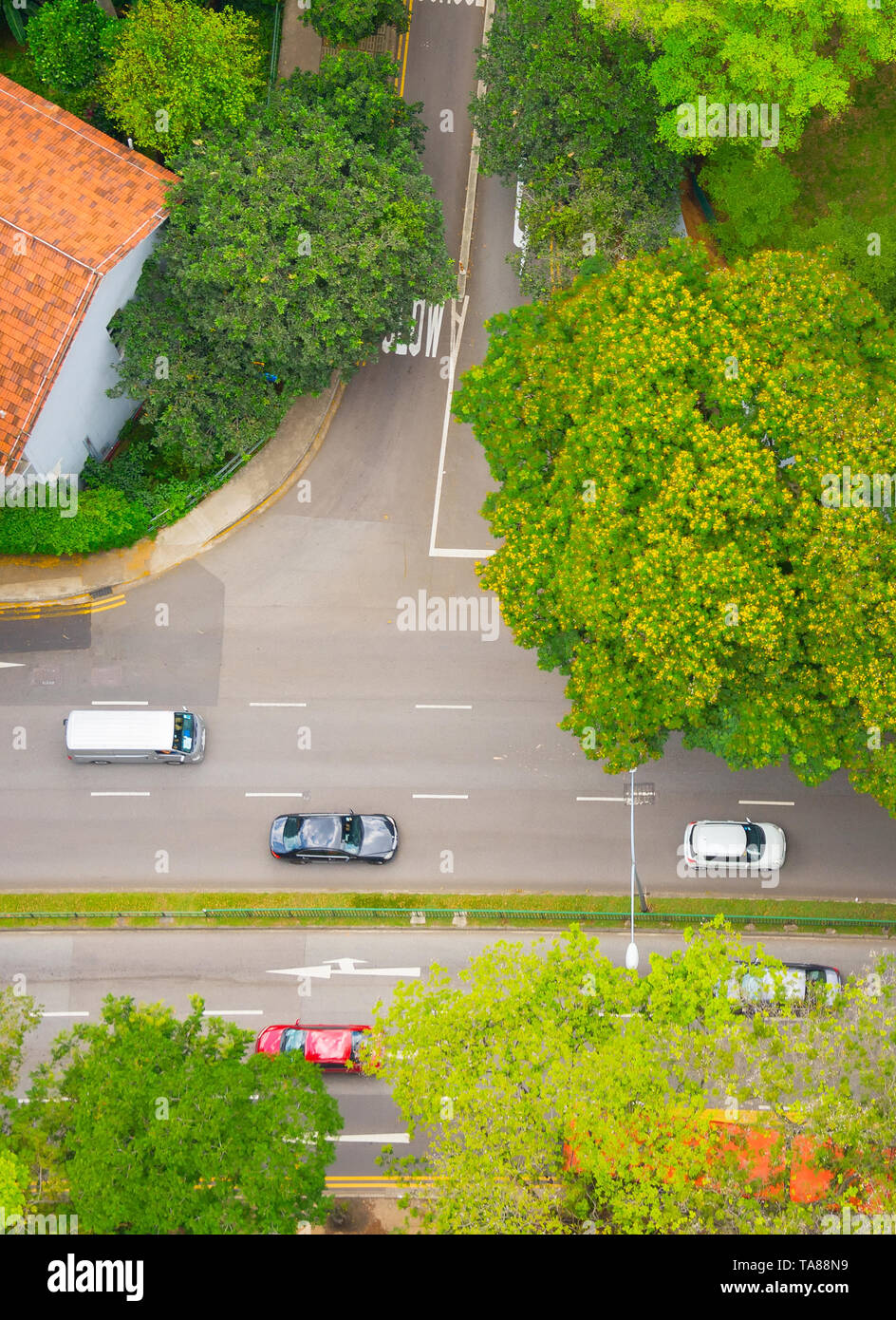 Blick von oben auf den Autoverkehr an der grünen Straße im Wohngebiet. Singapur Stockfoto