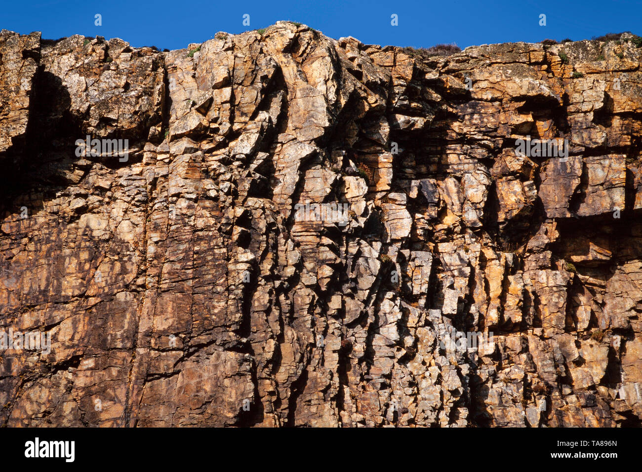 Küstenlandschaft, Ramsey Island, schroffe Felsen, Sommerzeit Stockfoto