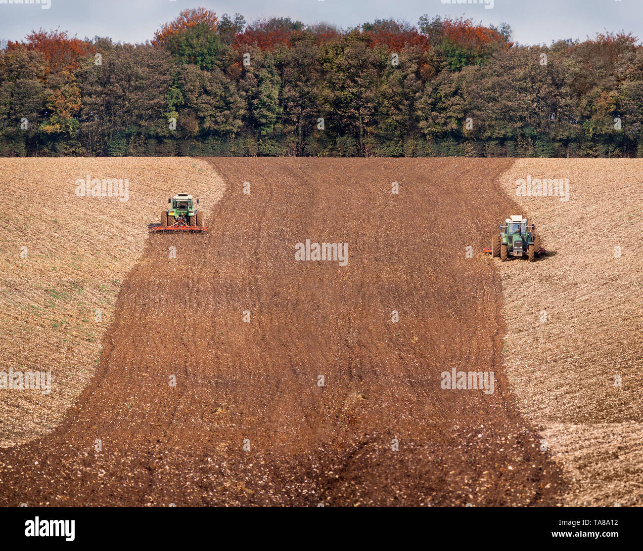Landwirtschaft, Traktor pflügen ein landwirtschaftlicher Bereich, helle Sonne. Stockfoto
