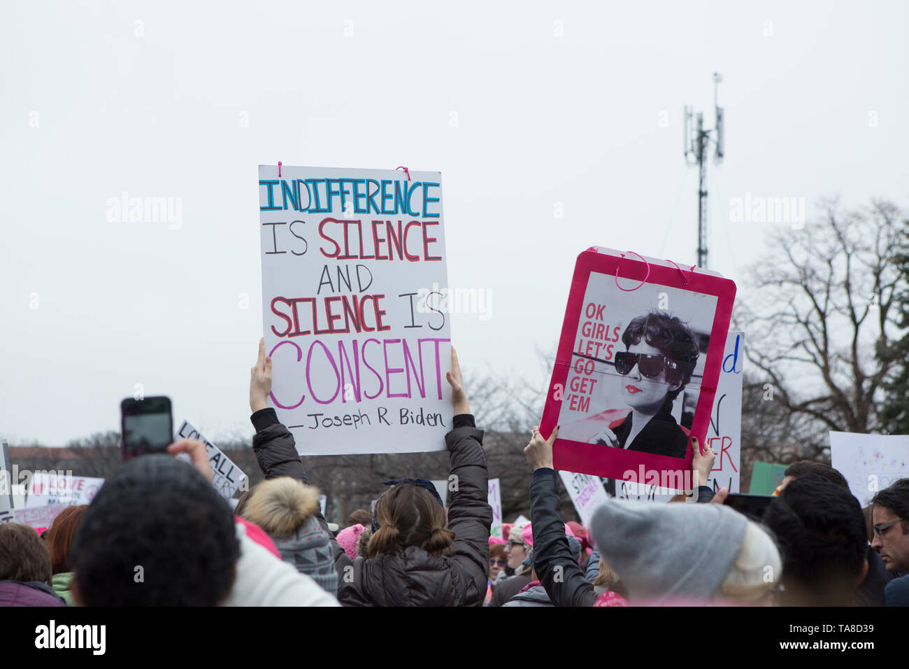 Die Demonstranten halten, während Frauen März, Washington, D.C., USA, 21. Januar 2017 Stockfoto