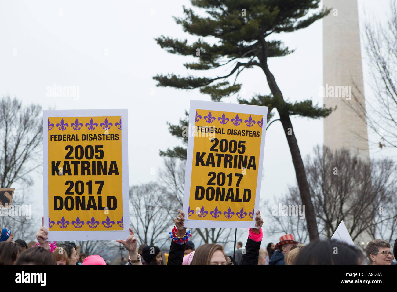 Die Demonstranten halten, während Frauen März, Washington, D.C., USA, 21. Januar 2017 Stockfoto