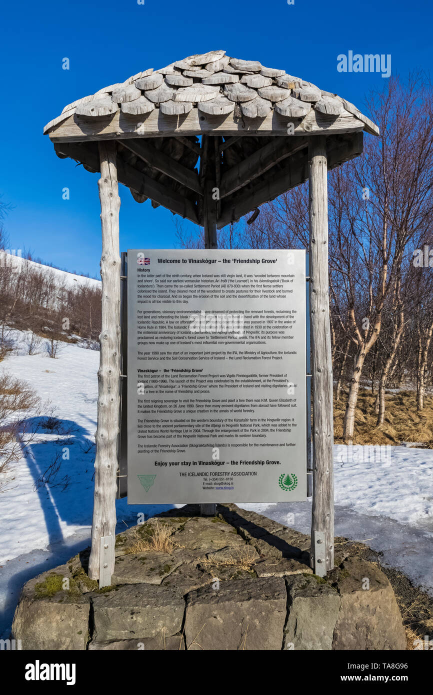 Freundschaft Grove, ein Ort, wo Bäume sind feierlich mit ausländischen Würdenträger gepflanzt, in Þingvellir Nationalpark entlang der Golden Circle in Icela Stockfoto