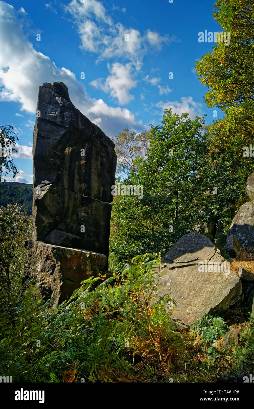 Großbritannien, South Yorkshire, Sheffield, Rivelin Rocks, The Needle. Stockfoto