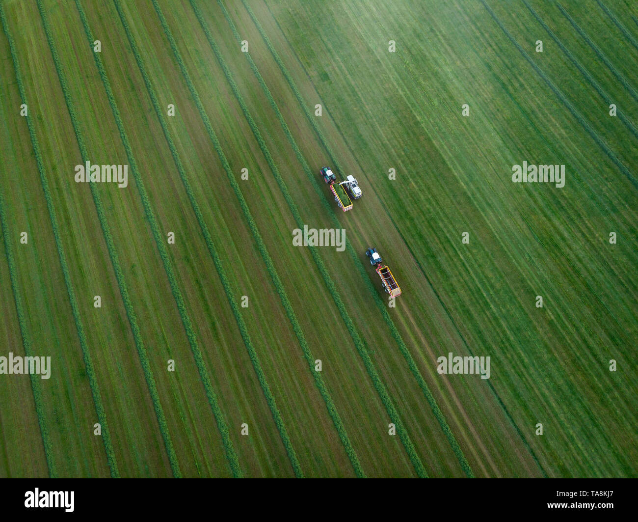 Luftaufnahme der Landwirtschaft fiel mit Traktoren Erntetechnik Heu in Deutschland Stockfoto