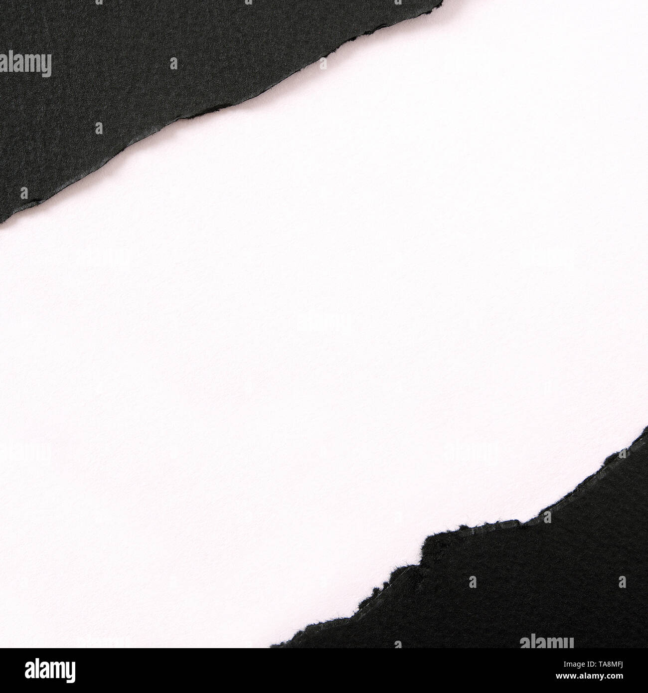 Zerrissenen schwarzen Streifen Papier diagonal weißen Hintergrund Square Stockfoto