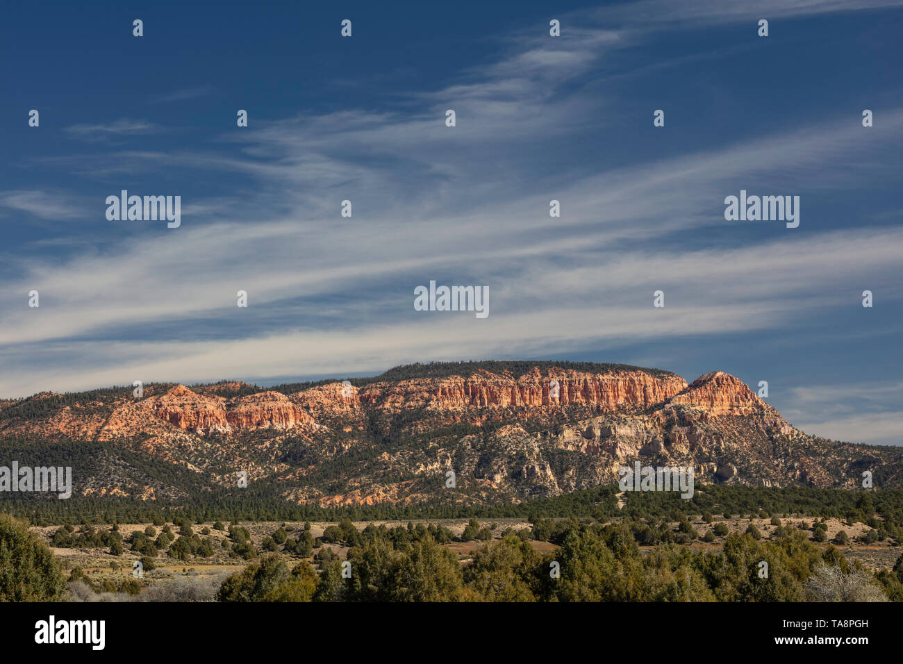 Sunset Cliffs, Paunsaugunt Plateau, Dixie National Forest, Garfield Copunty, Utah Stockfoto